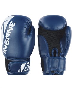 Перчатки боксерские INSANE MARS IN22-BG100, ПУ, синий,  6 oz